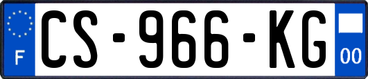 CS-966-KG