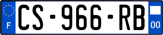 CS-966-RB