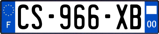 CS-966-XB