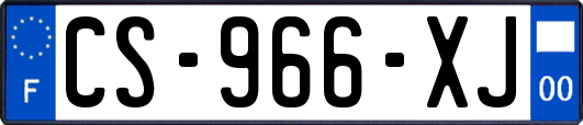 CS-966-XJ