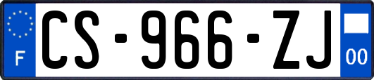 CS-966-ZJ