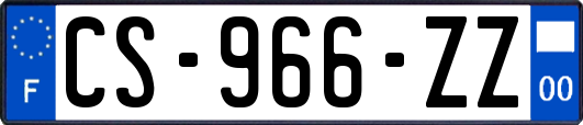 CS-966-ZZ