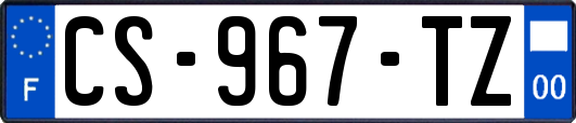 CS-967-TZ