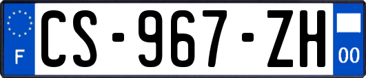 CS-967-ZH