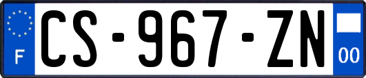 CS-967-ZN