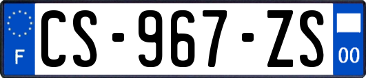 CS-967-ZS