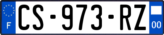 CS-973-RZ