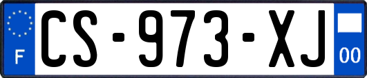 CS-973-XJ