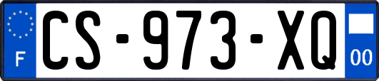 CS-973-XQ