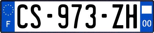 CS-973-ZH