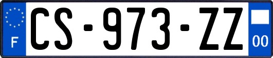 CS-973-ZZ