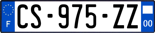 CS-975-ZZ