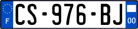 CS-976-BJ