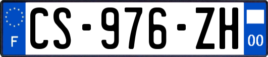 CS-976-ZH