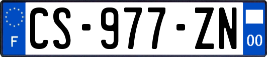 CS-977-ZN