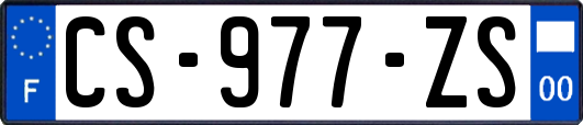 CS-977-ZS