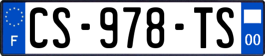 CS-978-TS