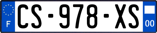 CS-978-XS