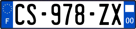 CS-978-ZX