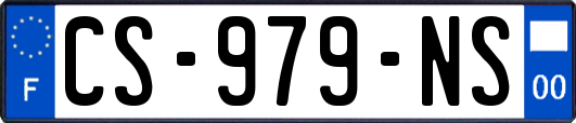 CS-979-NS