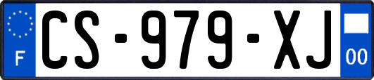 CS-979-XJ