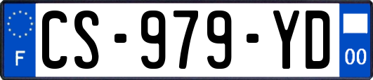 CS-979-YD