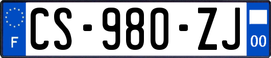 CS-980-ZJ