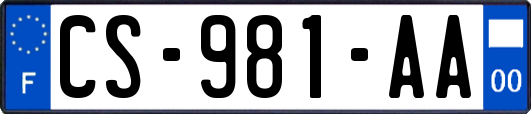 CS-981-AA