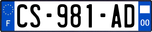 CS-981-AD