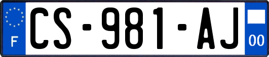 CS-981-AJ