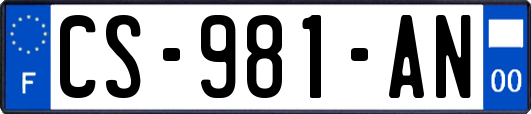 CS-981-AN