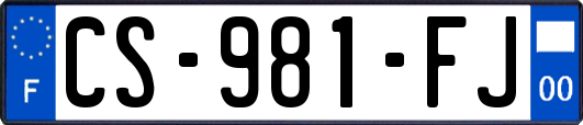 CS-981-FJ