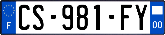 CS-981-FY