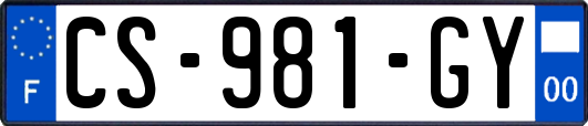 CS-981-GY