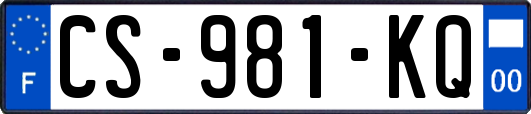 CS-981-KQ