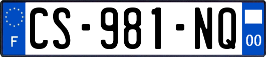 CS-981-NQ