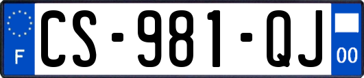 CS-981-QJ