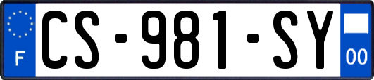 CS-981-SY