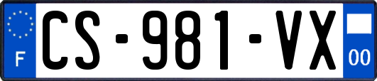 CS-981-VX