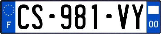 CS-981-VY