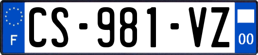 CS-981-VZ