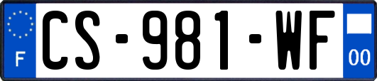 CS-981-WF