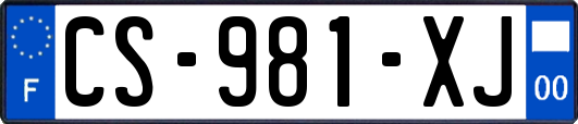 CS-981-XJ