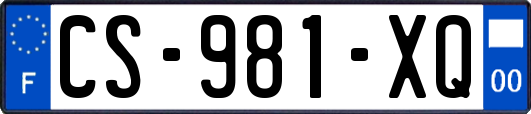 CS-981-XQ