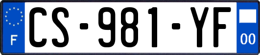 CS-981-YF