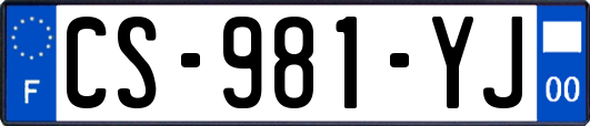 CS-981-YJ