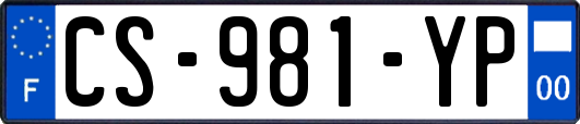 CS-981-YP
