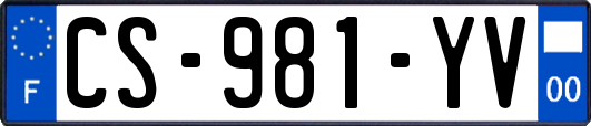 CS-981-YV