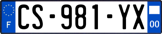 CS-981-YX