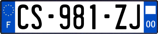 CS-981-ZJ